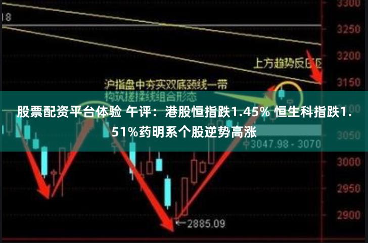 股票配资平台体验 午评：港股恒指跌1.45% 恒生科指跌1.51%药明系个股逆势高涨