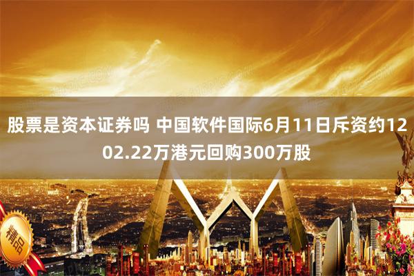 股票是资本证券吗 中国软件国际6月11日斥资约1202.22万港元回购300万股